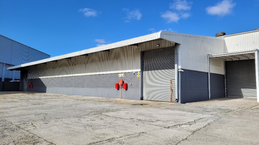 To Let Commercial Property for Rent in Epping Industrial Western Cape